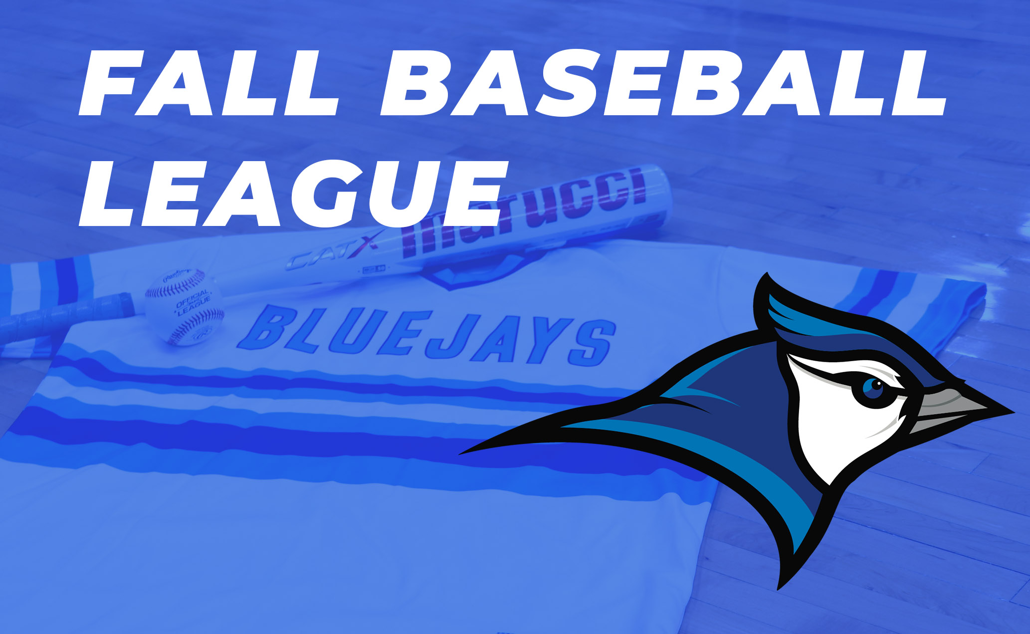 Minnesota West Sunday Fall Baseball League